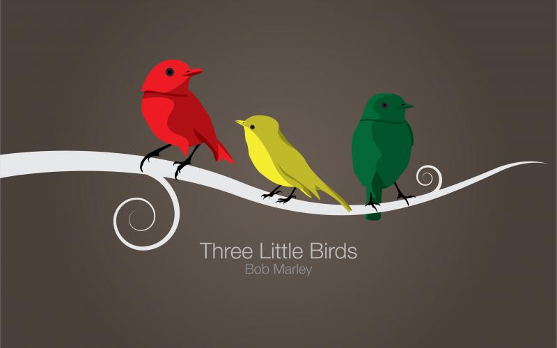 three little birds sat on my window tiktok